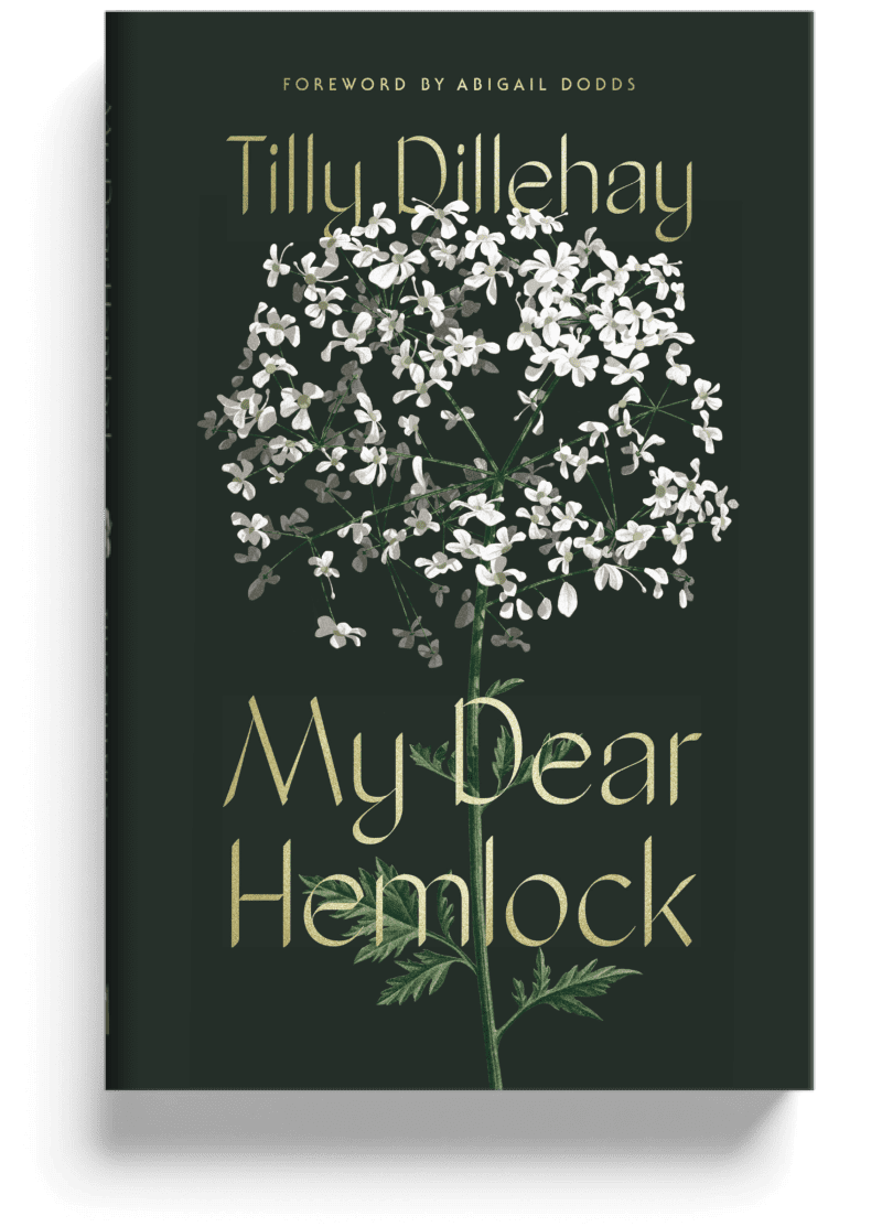 Hemlock Cover