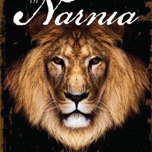 What I Learned in Narnia