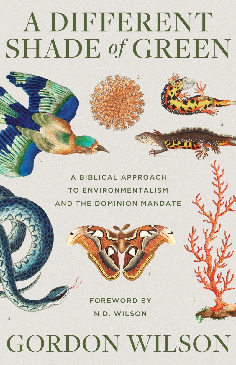 gordon wilson books paperback a different shade of green a biblical approach to environmentalism and the dominion mandate 28066835791920