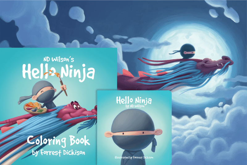 n d wilson books ninja gift set 11565816709168